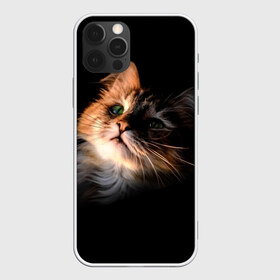 Чехол для iPhone 12 Pro Max с принтом Зеленоглазый котёнок , Силикон |  | Тематика изображения на принте: кот | кошка | прикольные картинки
