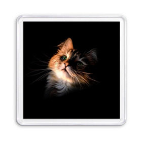 Магнит 55*55 с принтом Зеленоглазый котёнок , Пластик | Размер: 65*65 мм; Размер печати: 55*55 мм | Тематика изображения на принте: кот | кошка | прикольные картинки