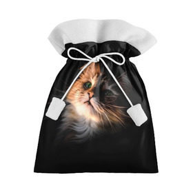 Подарочный 3D мешок с принтом Зеленоглазый котёнок , 100% полиэстер | Размер: 29*39 см | Тематика изображения на принте: кот | кошка | прикольные картинки