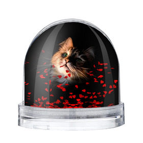 Водяной шар с принтом Зеленоглазый котёнок , Пластик | Изображение внутри шара печатается на глянцевой фотобумаге с двух сторон | Тематика изображения на принте: кот | кошка | прикольные картинки