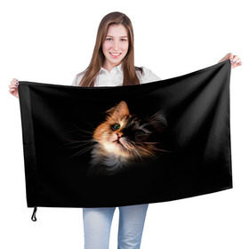 Флаг 3D с принтом Зеленоглазый котёнок , 100% полиэстер | плотность ткани — 95 г/м2, размер — 67 х 109 см. Принт наносится с одной стороны | Тематика изображения на принте: кот | кошка | прикольные картинки