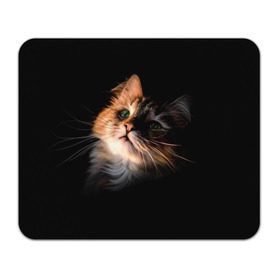Коврик прямоугольный с принтом Зеленоглазый котёнок , натуральный каучук | размер 230 х 185 мм; запечатка лицевой стороны | Тематика изображения на принте: кот | кошка | прикольные картинки