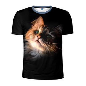 Мужская футболка 3D спортивная с принтом Зеленоглазый котёнок , 100% полиэстер с улучшенными характеристиками | приталенный силуэт, круглая горловина, широкие плечи, сужается к линии бедра | Тематика изображения на принте: кот | кошка | прикольные картинки