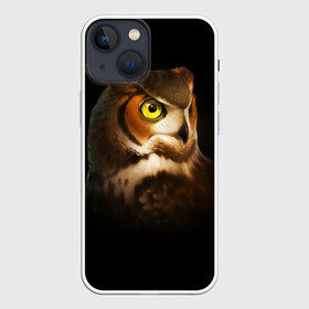 Чехол для iPhone 13 mini с принтом Сова ,  |  | глаз | пернатые | прикольные картинки | птица | птичка