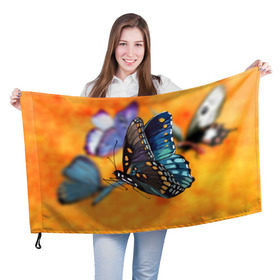 Флаг 3D с принтом Рисунок бабочка , 100% полиэстер | плотность ткани — 95 г/м2, размер — 67 х 109 см. Принт наносится с одной стороны | бабочка