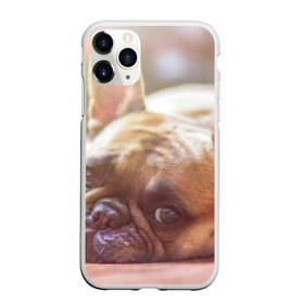 Чехол для iPhone 11 Pro матовый с принтом французский бульдог , Силикон |  | dog | бульдог | друг | собака | язык