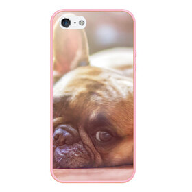 Чехол для iPhone 5/5S матовый с принтом французский бульдог , Силикон | Область печати: задняя сторона чехла, без боковых панелей | dog | бульдог | друг | собака | язык