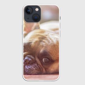 Чехол для iPhone 13 mini с принтом французский бульдог ,  |  | dog | бульдог | друг | собака | язык