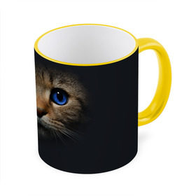 Кружка 3D с принтом Кот с синими глазами , керамика | ёмкость 330 мл | кот | котенок | кошка | мордочка