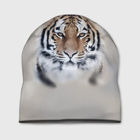 Шапка 3D с принтом Tiger , 100% полиэстер | универсальный размер, печать по всей поверхности изделия | 