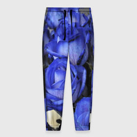 Мужские брюки 3D с принтом Синие розы , 100% полиэстер | манжеты по низу, эластичный пояс регулируется шнурком, по бокам два кармана без застежек, внутренняя часть кармана из мелкой сетки | девушкам | розы | синие | цветы