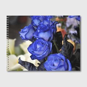 Альбом для рисования с принтом Синие розы , 100% бумага
 | матовая бумага, плотность 200 мг. | Тематика изображения на принте: девушкам | розы | синие | цветы