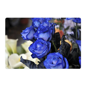 Магнитный плакат 3Х2 с принтом Синие розы , Полимерный материал с магнитным слоем | 6 деталей размером 9*9 см | Тематика изображения на принте: девушкам | розы | синие | цветы