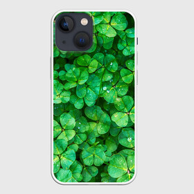 Чехол для iPhone 13 mini с принтом клевер ,  |  | зелень | ирландия | клевер | лето | листья | солнце | цветы