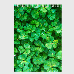 Скетчбук с принтом клевер , 100% бумага
 | 48 листов, плотность листов — 100 г/м2, плотность картонной обложки — 250 г/м2. Листы скреплены сверху удобной пружинной спиралью | зелень | ирландия | клевер | лето | листья | солнце | цветы