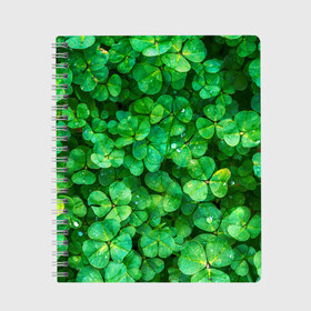 Тетрадь с принтом клевер , 100% бумага | 48 листов, плотность листов — 60 г/м2, плотность картонной обложки — 250 г/м2. Листы скреплены сбоку удобной пружинной спиралью. Уголки страниц и обложки скругленные. Цвет линий — светло-серый
 | зелень | ирландия | клевер | лето | листья | солнце | цветы