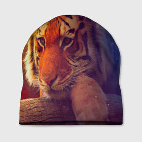 Шапка 3D с принтом Тигр , 100% полиэстер | универсальный размер, печать по всей поверхности изделия | лев | тигр
