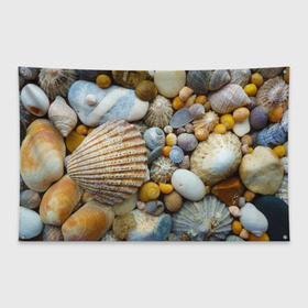 Флаг-баннер с принтом Морские ракушки и камни , 100% полиэстер | размер 67 х 109 см, плотность ткани — 95 г/м2; по краям флага есть четыре люверса для крепления | камни | море | морские камни | ракушки