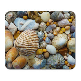 Коврик прямоугольный с принтом Морские ракушки и камни , натуральный каучук | размер 230 х 185 мм; запечатка лицевой стороны | камни | море | морские камни | ракушки