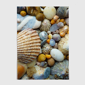 Постер с принтом Морские ракушки и камни , 100% бумага
 | бумага, плотность 150 мг. Матовая, но за счет высокого коэффициента гладкости имеет небольшой блеск и дает на свету блики, но в отличии от глянцевой бумаги не покрыта лаком | камни | море | морские камни | ракушки