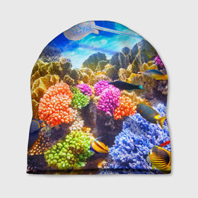 Шапка 3D с принтом Подводный мир , 100% полиэстер | универсальный размер, печать по всей поверхности изделия | вода | коралл | океан | рыбки | синяя
