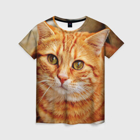 Женская футболка 3D с принтом кот , 100% полиэфир ( синтетическое хлопкоподобное полотно) | прямой крой, круглый вырез горловины, длина до линии бедер | cat | взгляд | глаза | киса | кот | котенок | котик