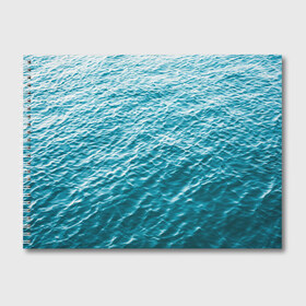 Альбом для рисования с принтом Море , 100% бумага
 | матовая бумага, плотность 200 мг. | Тематика изображения на принте: orca | sea | whale | вода | киты | косатки | лето | любовь | море | океан | отдых | пальмы | пляж | солнце