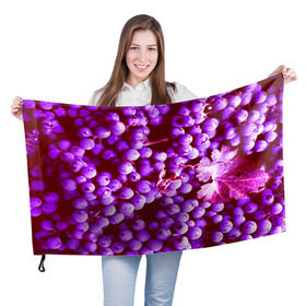 Флаг 3D с принтом Виноград , 100% полиэстер | плотность ткани — 95 г/м2, размер — 67 х 109 см. Принт наносится с одной стороны | 