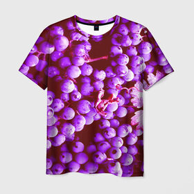 Мужская футболка 3D с принтом Виноград , 100% полиэфир | прямой крой, круглый вырез горловины, длина до линии бедер | 