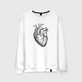 Мужской свитшот хлопок с принтом Heart , 100% хлопок |  | вектор | карандаш | кардиология | кровь | мышца | орган | пульс | рисунок | сердце | черный