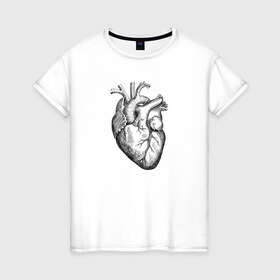 Женская футболка хлопок с принтом Heart , 100% хлопок | прямой крой, круглый вырез горловины, длина до линии бедер, слегка спущенное плечо | вектор | карандаш | кардиология | кровь | мышца | орган | пульс | рисунок | сердце | черный