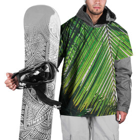 Накидка на куртку 3D с принтом пальмы , 100% полиэстер |  | sea | summer | берег | лето | море | океан | отдых | пальмы | пляж | солнце