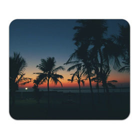Коврик прямоугольный с принтом Пальмы , натуральный каучук | размер 230 х 185 мм; запечатка лицевой стороны | sea | summer | берег | лето | море | океан | отдых | пальмы | пляж | солнце