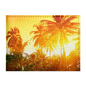 Обложка для студенческого билета с принтом Пальмы , натуральная кожа | Размер: 11*8 см; Печать на всей внешней стороне | sea | summer | берег | лето | море | океан | отдых | пальмы | пляж | солнце