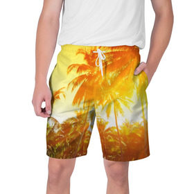 Мужские шорты 3D с принтом Пальмы ,  полиэстер 100% | прямой крой, два кармана без застежек по бокам. Мягкая трикотажная резинка на поясе, внутри которой широкие завязки. Длина чуть выше колен | Тематика изображения на принте: sea | summer | берег | лето | море | океан | отдых | пальмы | пляж | солнце