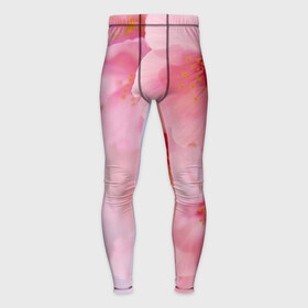 Мужские тайтсы 3D с принтом Сакура ,  |  | весна | вишня | розовый | цветение | цветы | япония