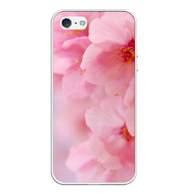 Чехол для iPhone 5/5S матовый с принтом Сакура , Силикон | Область печати: задняя сторона чехла, без боковых панелей | весна | вишня | розовый | цветение | цветы | япония