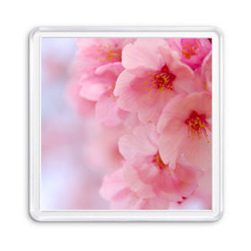 Магнит 55*55 с принтом Сакура , Пластик | Размер: 65*65 мм; Размер печати: 55*55 мм | Тематика изображения на принте: весна | вишня | розовый | цветение | цветы | япония