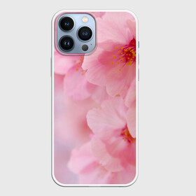Чехол для iPhone 13 Pro Max с принтом Сакура ,  |  | Тематика изображения на принте: весна | вишня | розовый | цветение | цветы | япония
