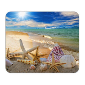 Коврик прямоугольный с принтом Морской пляж 2 , натуральный каучук | размер 230 х 185 мм; запечатка лицевой стороны | море | отдых | отпуск | пляж | ракушки | туризм