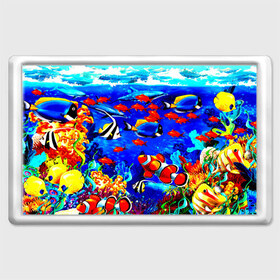 Магнит 45*70 с принтом Рыбки , Пластик | Размер: 78*52 мм; Размер печати: 70*45 | Тематика изображения на принте: аквариум | вода | лето | море | риф | рыбки | тропики | фауна