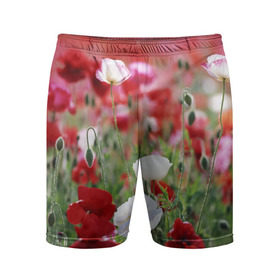 Мужские шорты 3D спортивные с принтом Маки ,  |  | field | flowers | meadow | poppies | red | white | белые | красные | луг | маки | поле | полевые | цветы