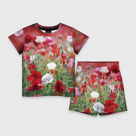Детский костюм с шортами 3D с принтом Маки ,  |  | field | flowers | meadow | poppies | red | white | белые | красные | луг | маки | поле | полевые | цветы