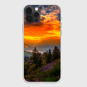 Чехол для iPhone 12 Pro Max с принтом Пейзаж , Силикон |  | горы | закат | лес | новая | природа