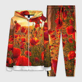 Женский костюм 3D с принтом Маки ,  |  | field | flowers | meadow | nature | poppies | red | sky | summer | sun | sunset | wild | закат | красные | лето | луг | маки | небо | поле | полевые | природа | солнце | цветы