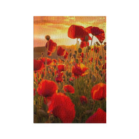 Обложка для паспорта матовая кожа с принтом Маки , натуральная матовая кожа | размер 19,3 х 13,7 см; прозрачные пластиковые крепления | Тематика изображения на принте: field | flowers | meadow | nature | poppies | red | sky | summer | sun | sunset | wild | закат | красные | лето | луг | маки | небо | поле | полевые | природа | солнце | цветы