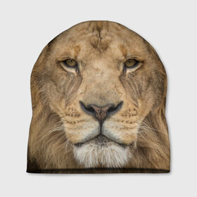 Шапка 3D с принтом Лев , 100% полиэстер | универсальный размер, печать по всей поверхности изделия | грива | джунгли | животные | зверь | король | кровь | лев | охотник | хищник | царь