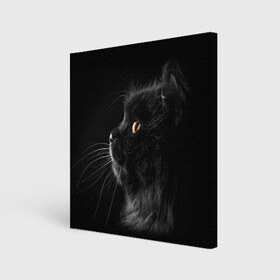 Холст квадратный с принтом Милая кошечка , 100% ПВХ |  | Тематика изображения на принте: osfenemy | животное | животные | киса | кошечка | кошка | милая | мур | мяу | фото | черный