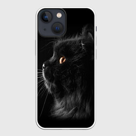 Чехол для iPhone 13 mini с принтом Милая кошечка ,  |  | osfenemy | животное | животные | киса | кошечка | кошка | милая | мур | мяу | фото | черный
