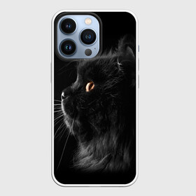 Чехол для iPhone 13 Pro с принтом Милая кошечка ,  |  | osfenemy | животное | животные | киса | кошечка | кошка | милая | мур | мяу | фото | черный